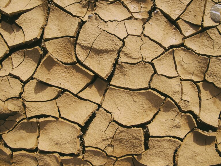 Motif de raquellement d'argiles suite au phénomène de retrait-gonflement, conséquence d'une sécheresse